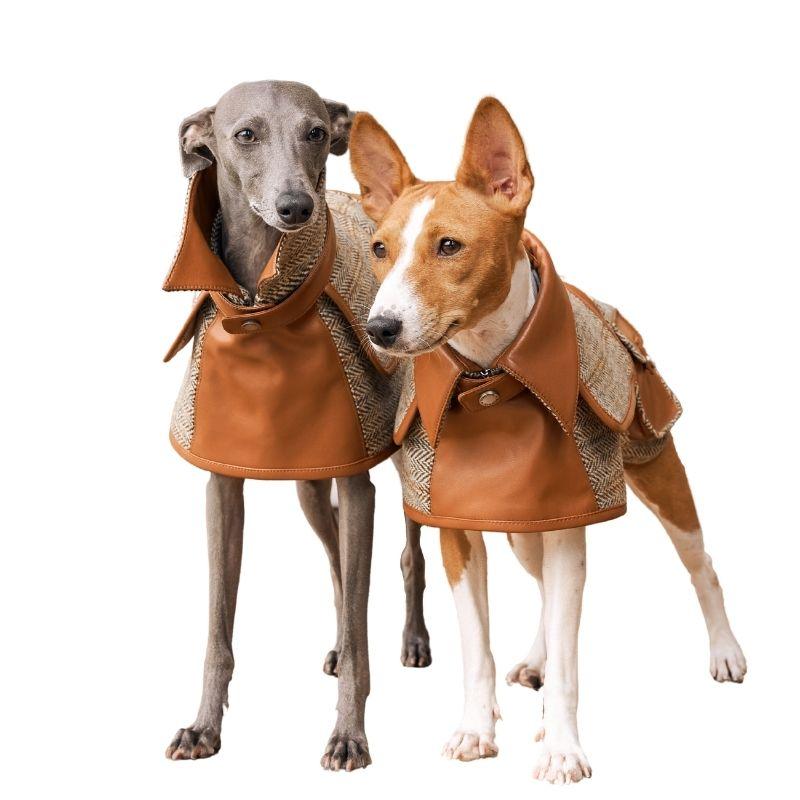 Italian Greyhound apparel;trench popular coat