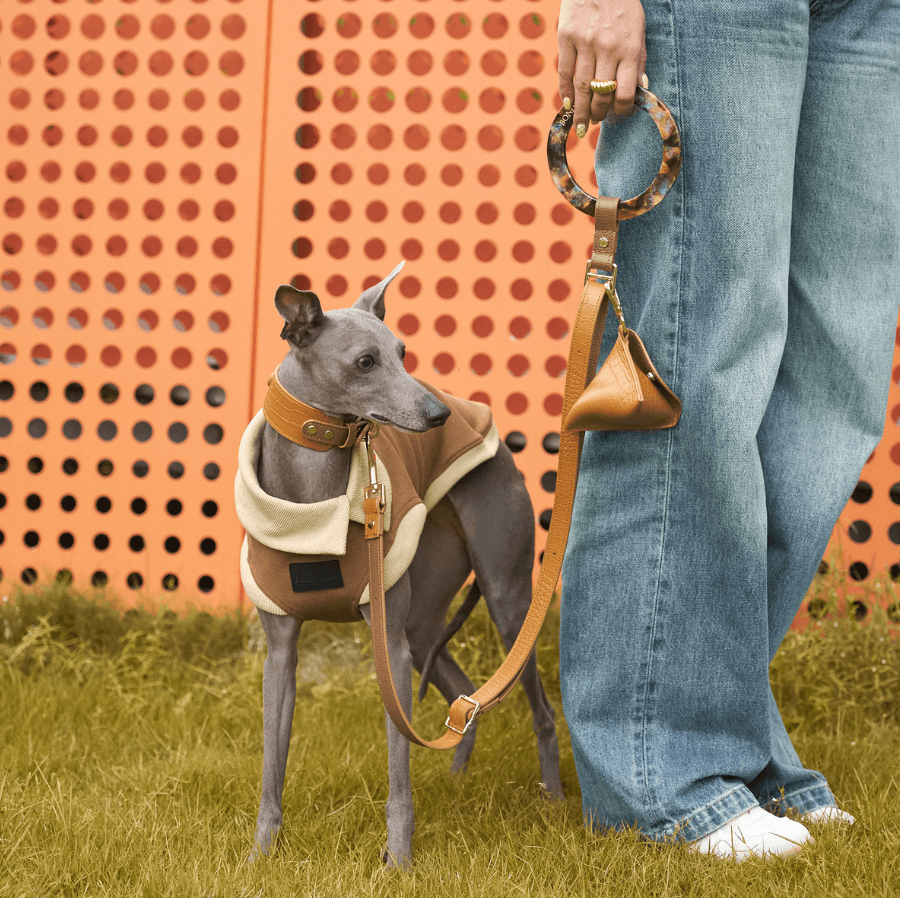 Elevate Your Pup's Style: Discover the Ultimate Dog Collars & Leashes! - BONDIR