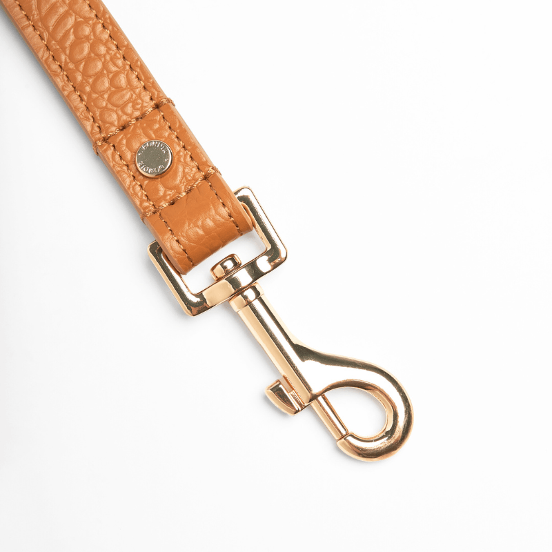 Amber Leather Dog Leash - BONDIR