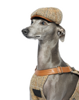 Vellure Dog Newsboy Cap