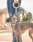 Moonstone Leather Dog Leash - BONDIR