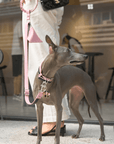 Flamingo Leather Dog Leash - BONDIR