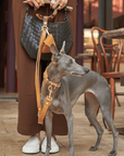 Amber Leather Dog Leash - BONDIR