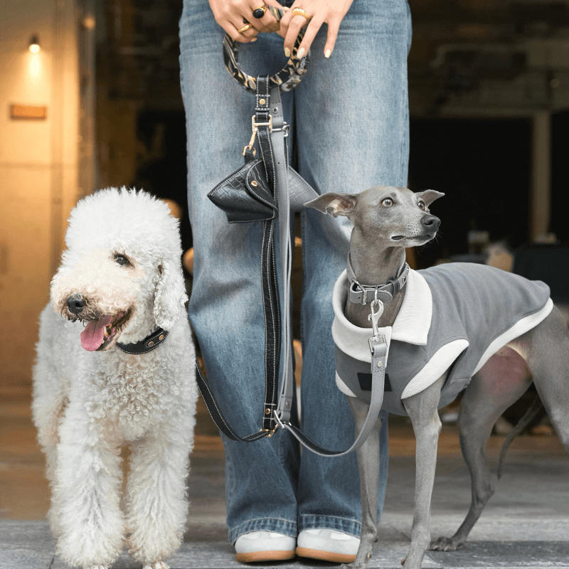 Indigo Leather Dog Leash - BONDIR