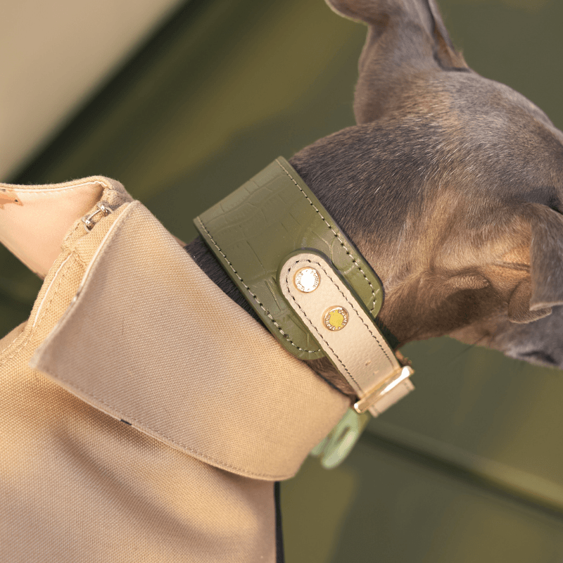 Emerald Leather Collar - BONDIR