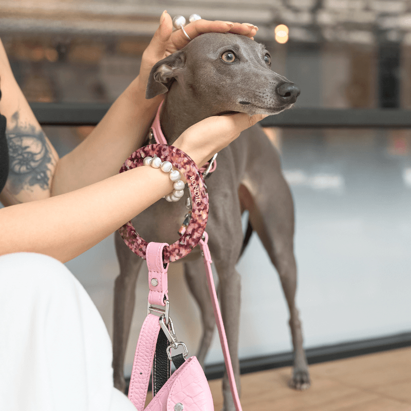 Flamingo Leather Dog Leash - BONDIR