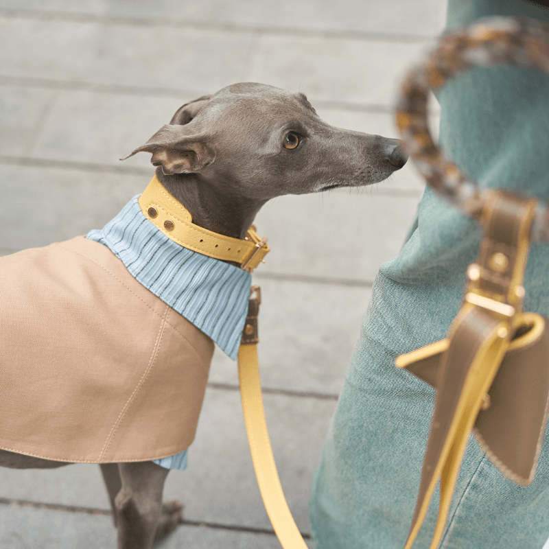 Rosy Leather Collar - BONDIR