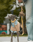 Rosy Leather Dog Leash - BONDIR