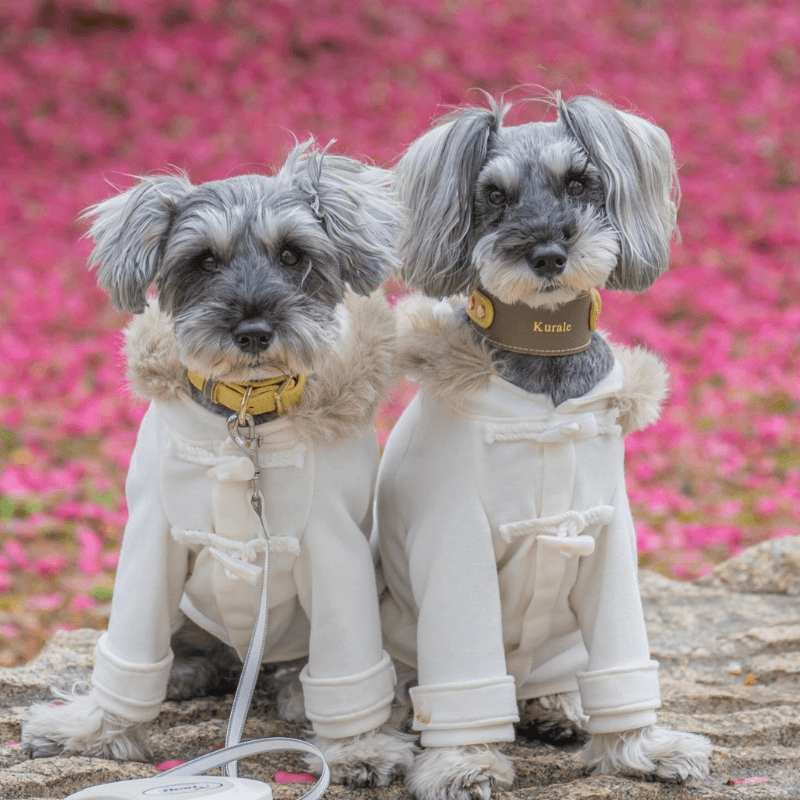 Rosy Leather Collar - BONDIR