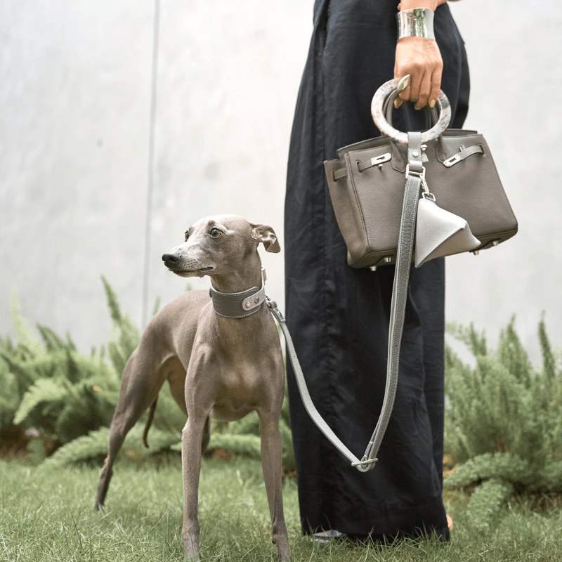 Moonstone Leather Collar - BONDIR