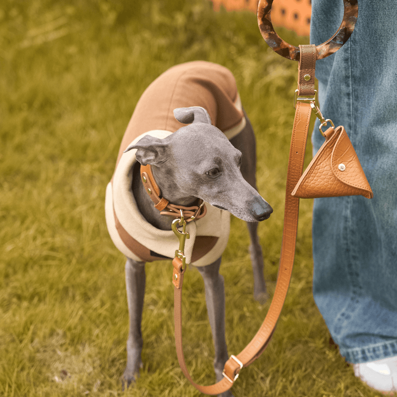 Amber Leather Dog Leash - BONDIR